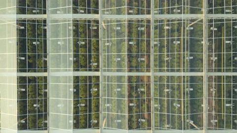 Modern High-tech Greenhouse View From Above. Aerial View Large Industrial Techno Stock Footage 208433198