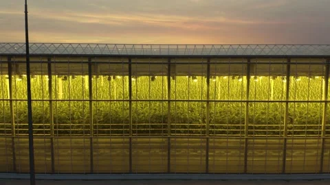 Modern High-tech Greenhouse View From Above. Aerial View Large Industrial Techno 스톡 동영상 208433918