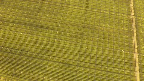 Modern High-tech Greenhouse View From Above. Aerial View Large Industrial Techno Stock Footage 208434669