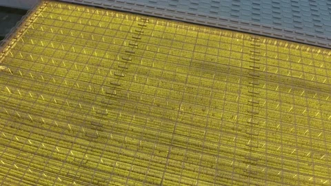 Modern High-tech Greenhouse View From Above.  Stock Footage 208434858