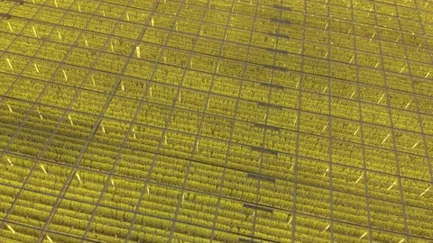 Modern High-tech Greenhouse View From Above. Stock Footage 208435393