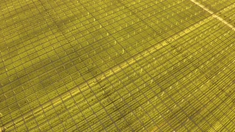 Modern High-tech Greenhouse View From Above.  스톡 동영상 208435597