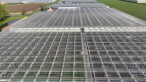 Modern High-tech Greenhouse View From Above. Stock Footage 282661632