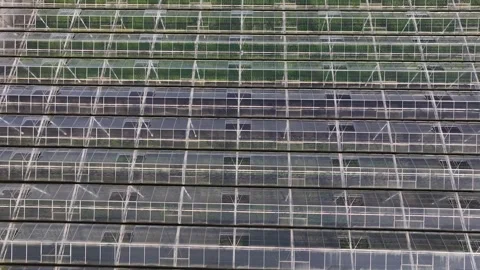 Modern High-tech Greenhouse View From Above. Stock Footage 283530583