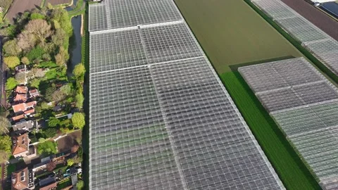 Modern High-tech Greenhouse View From Above. Stock Footage 291002473