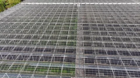 Modern High-tech Greenhouse View From Above Stock Footage 293292182