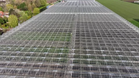 Modern High-tech Greenhouse View From Above. Aerial Drone View Stock Footage 293670947