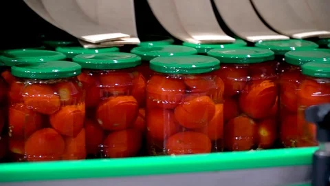 Modern High-Tech Pickled Tomato Production Line Stock-Footage 116201387
