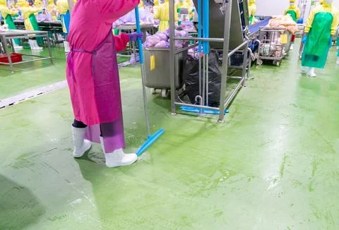 A modern, highly hygienic poultry processing factory, illustrating the enti.. Foto stock
