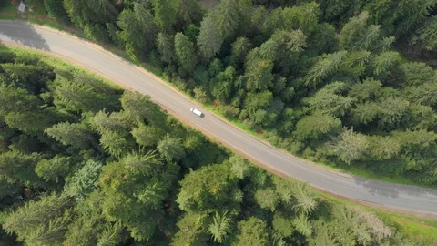 Modern Highway Cuts through Dense Forest in Carpathian Mountains 库存影片 100031237