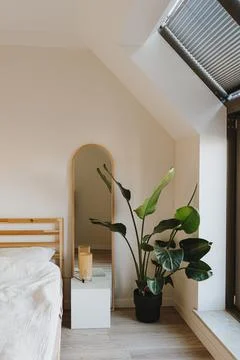 Modern home interior design concept. Tropical plant, window, mirror, bed with Stock Photos