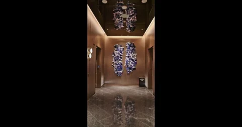 Modern Hotel Elevator Lobby with Camera Art Installation Vídeo Stock 347712396