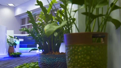 Modern Hotel Lobby Stock Footage 89574816