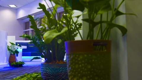 Modern Hotel Lobby Stock Footage 89574850