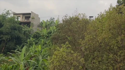 Modern house on a green hillside surrounded by lush trees 스톡 동영상 336452420