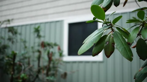 A Modern House Window - Crime Documentary Filler Shot 2 Stock Footage 333484620