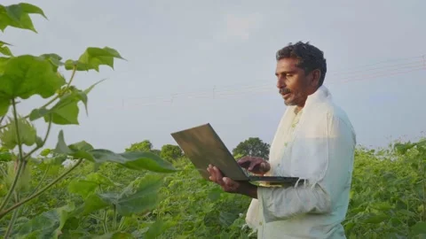 Modern Indian farmer using laptop in agricultural farming field in rural India Video stock 164318952