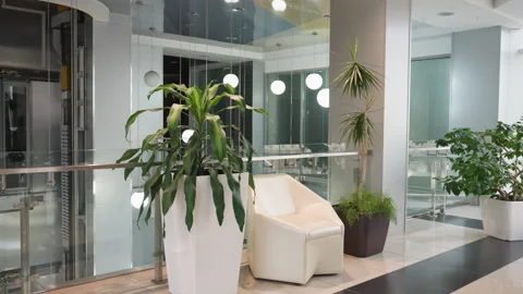 Modern Indoor Setting with Glass Elevator, Potted Plants, and White Chair Stock Footage 281079606