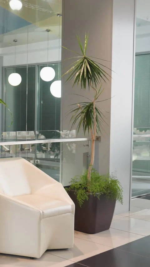Modern Indoor Setting with Glass Elevator, Potted Plants, and White Chair Stock Footage 316511008