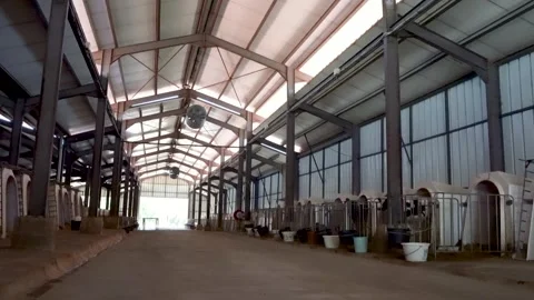 Modern industrial dairy barn interior with calf hutches and roof Stock Footage 340519143