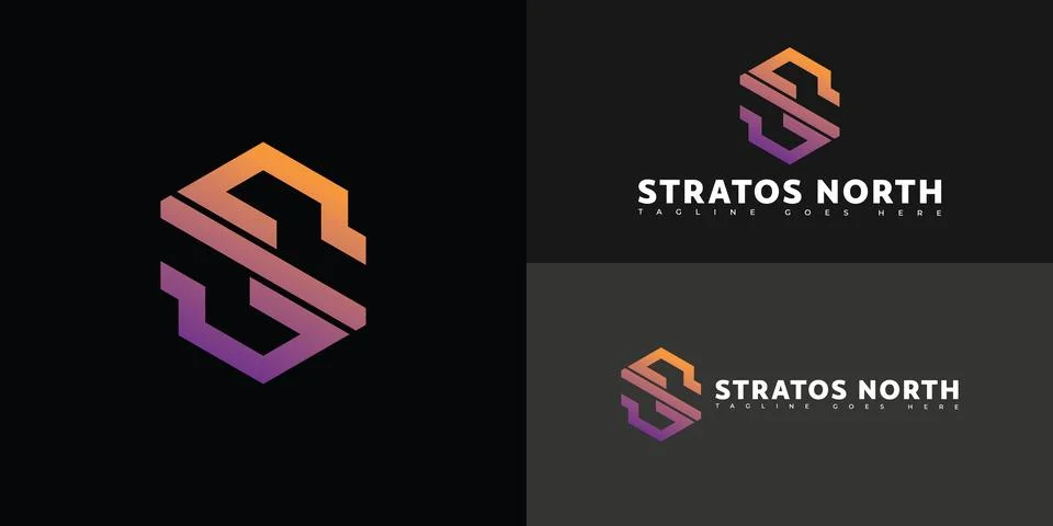 Modern initial hexagon vector letter SN or NS logo in gradient color Stock Illustration