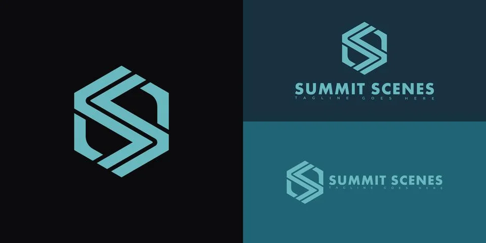 Modern initial hexagon vector letter S or SS logo in blue color Stock Illustration