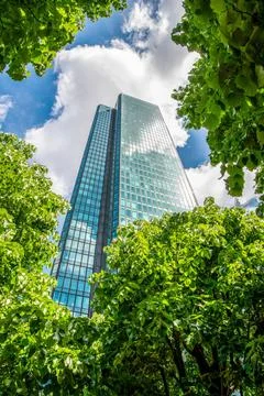 Modern Installation of a path in the trees between skyscrapers in La Defen... Stock Photos