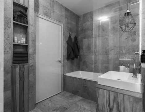 Modern interior of a bathroom in loft Stock Illustration