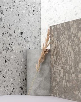 Modern interior composition using various stone textures and dry plants. Stock Photos