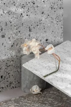 Modern interior composition using various stone textures and a dried flower.. Stock Photos