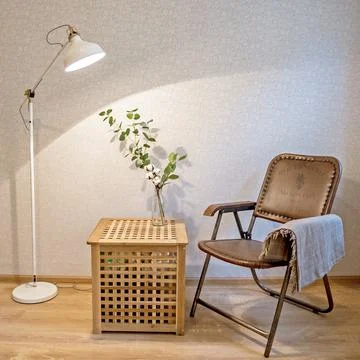 Modern interior design concept. Minimal style. a branch of a cotton tree and Stock Photos