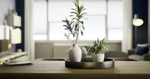 Modern interior design showcase featuring indoor plants and a stylish decor Stock Illustration