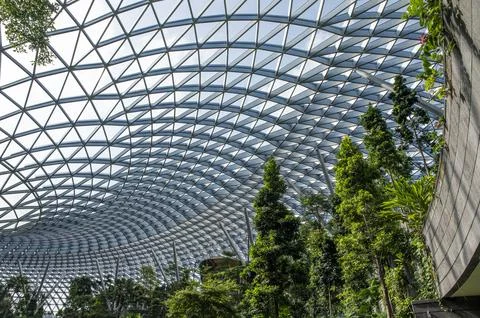 Modern interior design with trees inside the terminal building Stock Photos