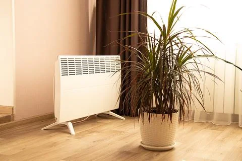 Modern interior with electric convector and palm tree in a pot, floor heate.. Stock Photos