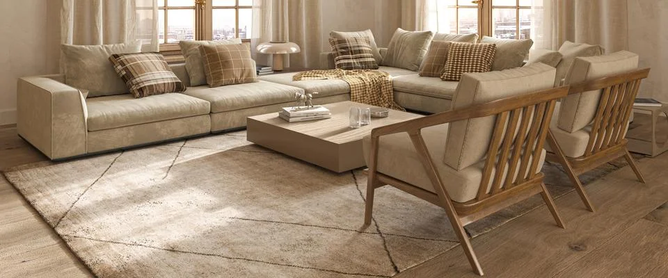 Modern interior japandi style design livingroom. Lighting and sunny apartment Illustrazione stock
