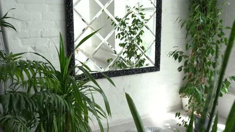 Modern interior with large stylish mirror with tropical plants Video stock 154367188