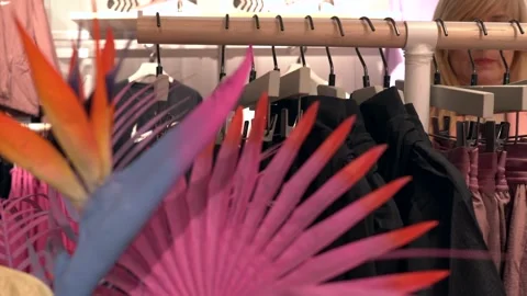 Modern interior of store, carefully arranged shelves with stylish clothes create Video stock 279220048