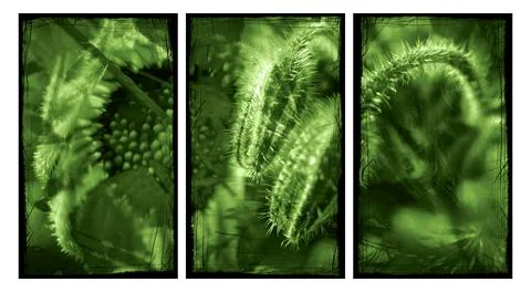 Modern interior triptych 스톡 일러스트