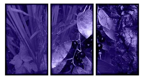 Modern interior triptych 스톡 일러스트