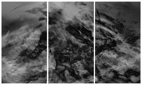Modern interior triptych Illustrazione stock