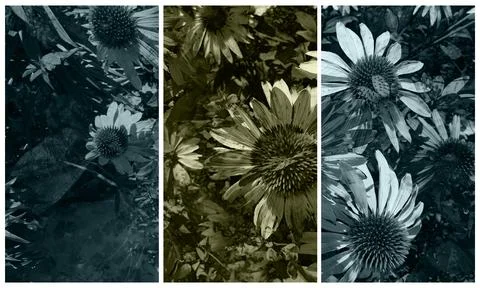 Modern interior triptych Illustrazione stock