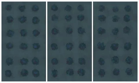 Modern interior triptych Illustrazione stock