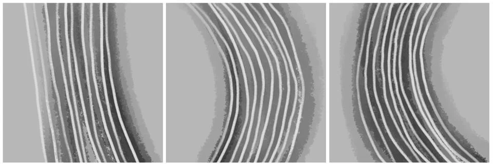 Modern interior triptych イラスト素材