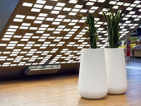 Modern interior with two white pots and green plants. Urban lifestyle, design Stock Photos