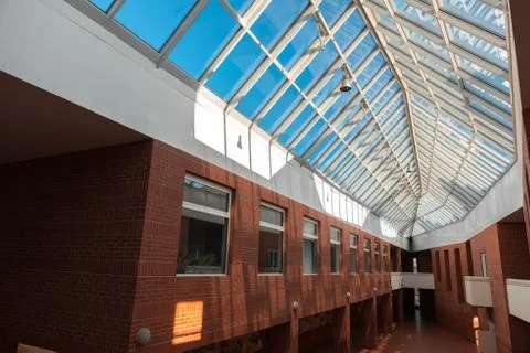 Modern interior of a university Stock Illustration