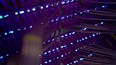 Modern Internet Network Switch With Plugged Ethernet Cables Video stock 265597036