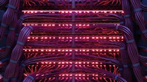 Modern Internet Network Switch With Plugged Ethernet Cables Stock Footage 265845011