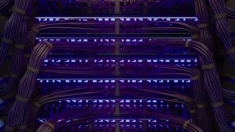 Modern Internet Network Switch With Plugged Ethernet Cables Vídeo Stock 266023308