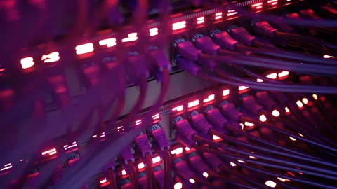 Modern Internet Network Switch With Plugged Ethernet Cables Stock Footage 266023788