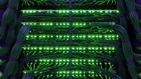 Modern Internet Network Switch With Plugged Ethernet Cables Stock Footage 266220927